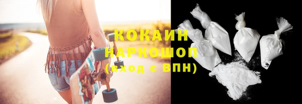 шишки Костерёво