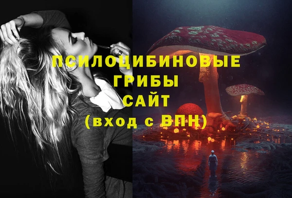 гашик Кукмор