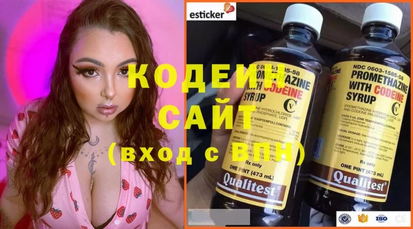 шишки Костерёво