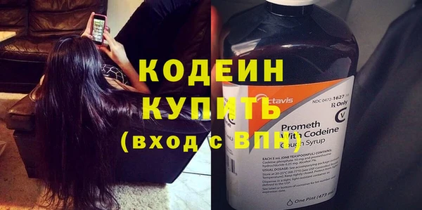 шишки Костерёво